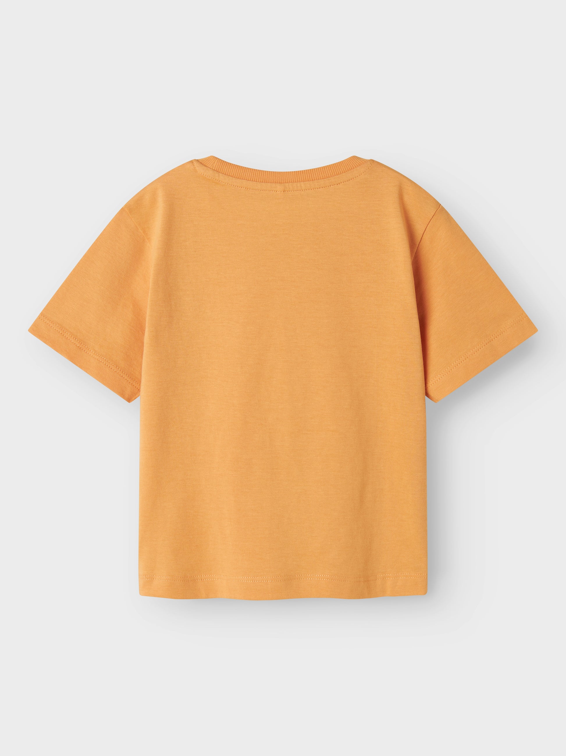 Kortärmad orange t-shirt till pojke. Tröja till liten kille med fotoprint av marsvin, hamster som surfar.
NMMVOTO SS NREG TOP
13241569