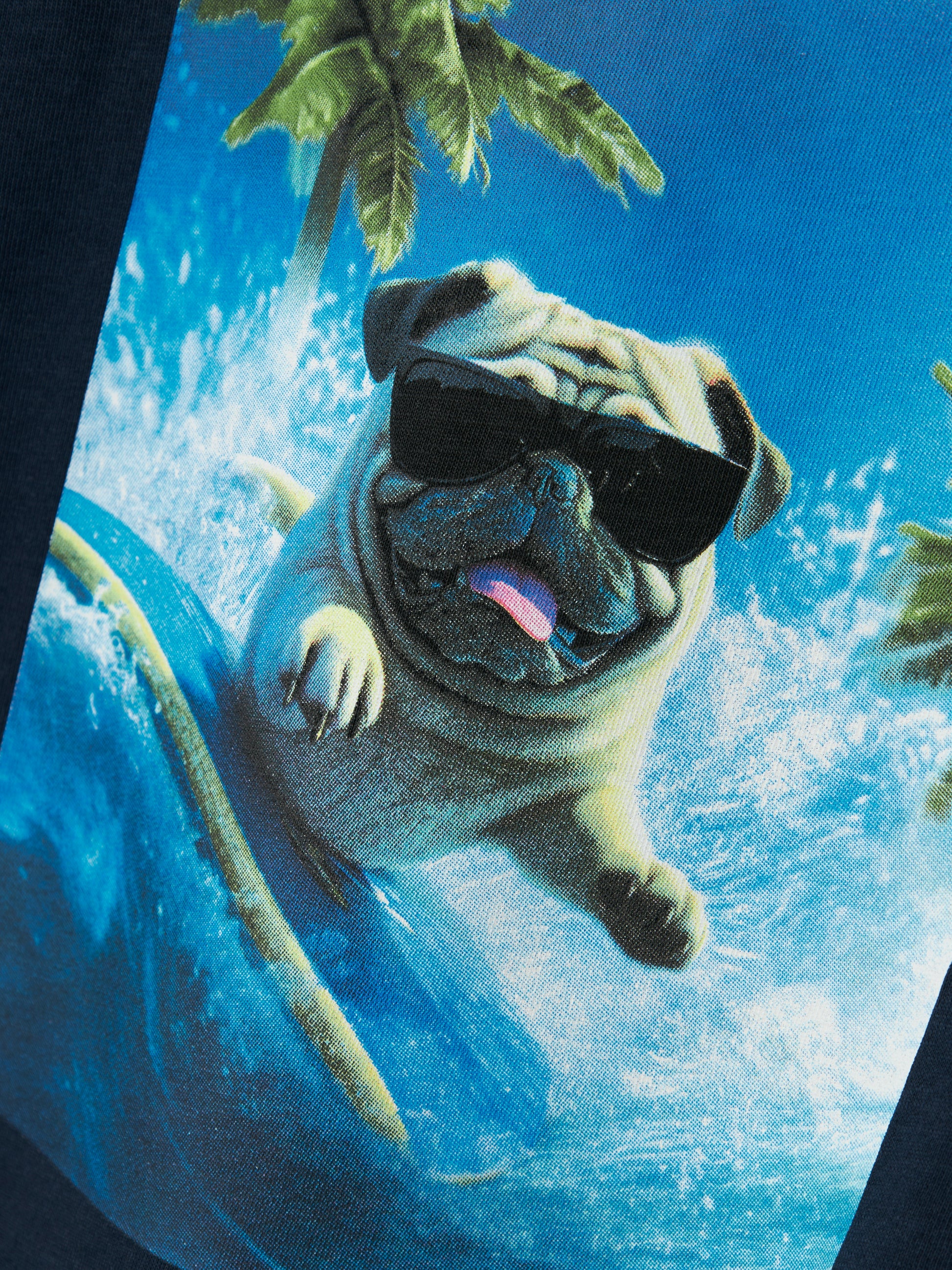 Kortärmad blå t-shirt till pojke. Tröja med fotoprint av hund som surfar.
NMMVOTO SS NREG TOP
13241569