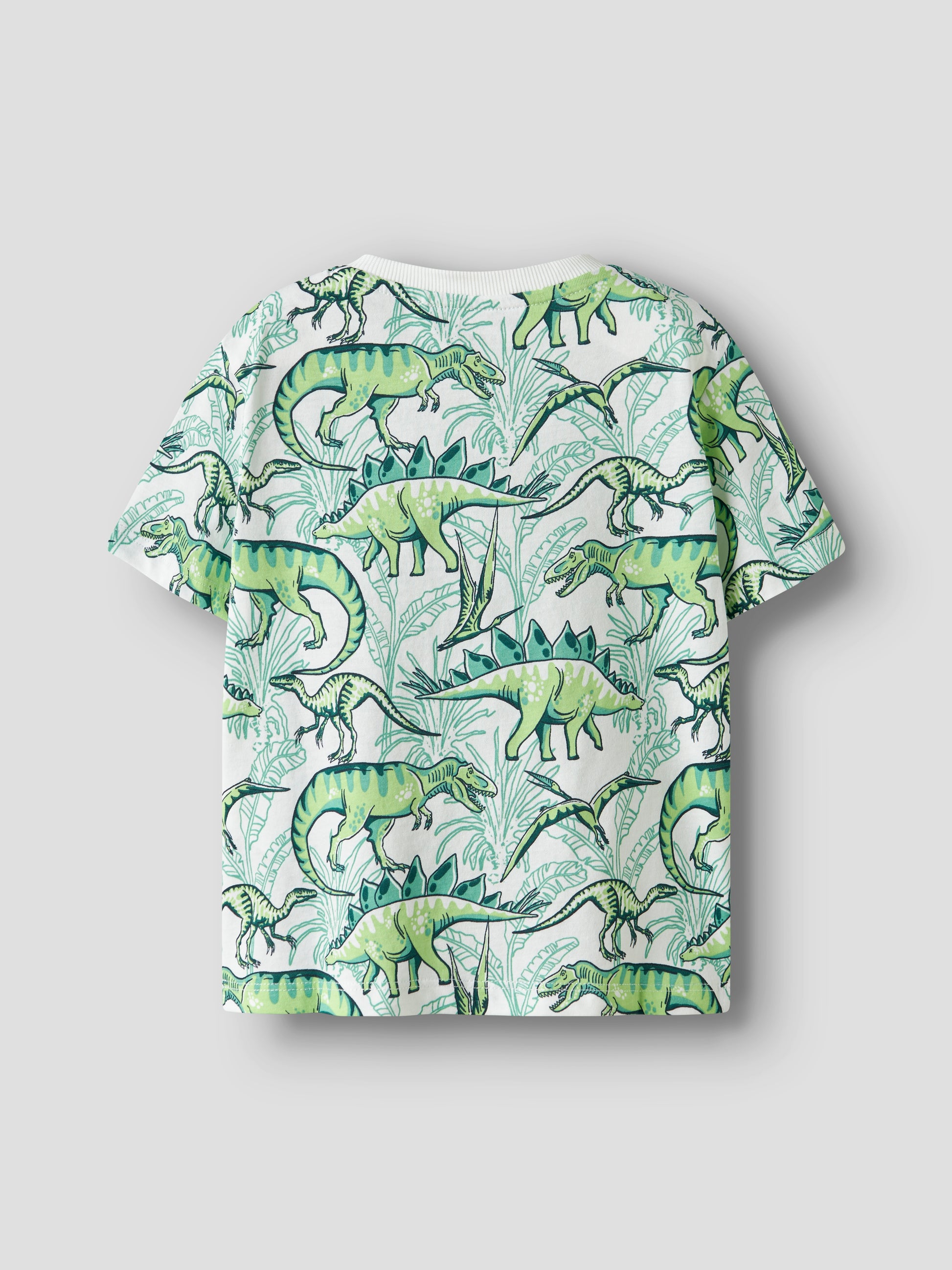 Dinosaurie t-shirt till pojke i ekologisk bomull. Kortärmad tröja med dino till liten kille.
NMMVALTHER SS NREG TOP
13241581