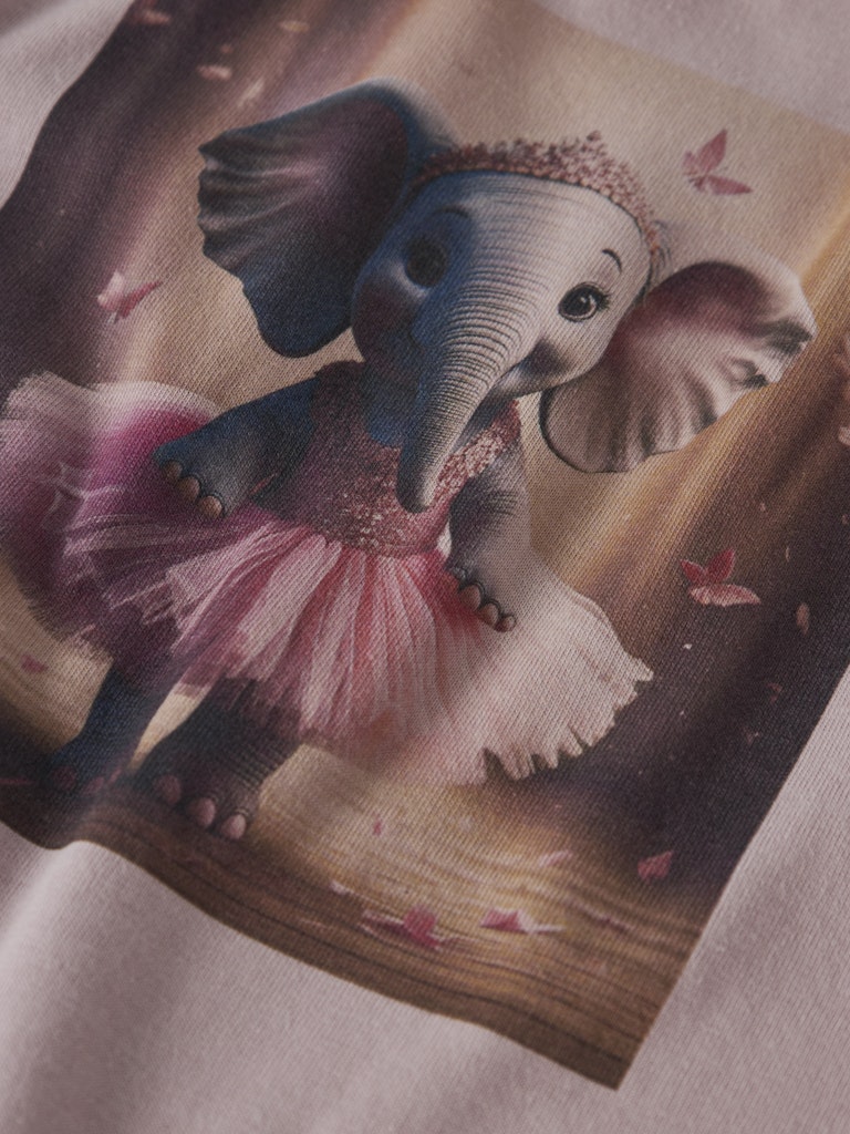 Långärmad rosa t-shirt med söt ballerina elefant. Tröja till flicka, tjej från Name it.
NMFVOTEA LS NREG TOP
13238407