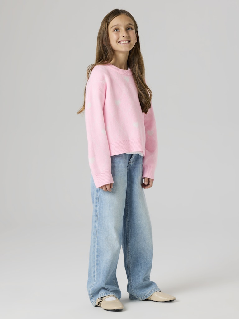 Rosa stickad tröja med vita hjärtan till tjej. Mysig tjocktröja till flicka från Name it i återvunnen polyester.
NKFSINIA LS KNIT
13258541